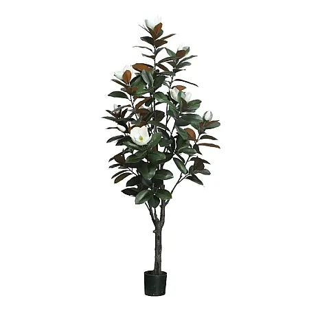 images/uploads/22252/thumb_22060 web.webp